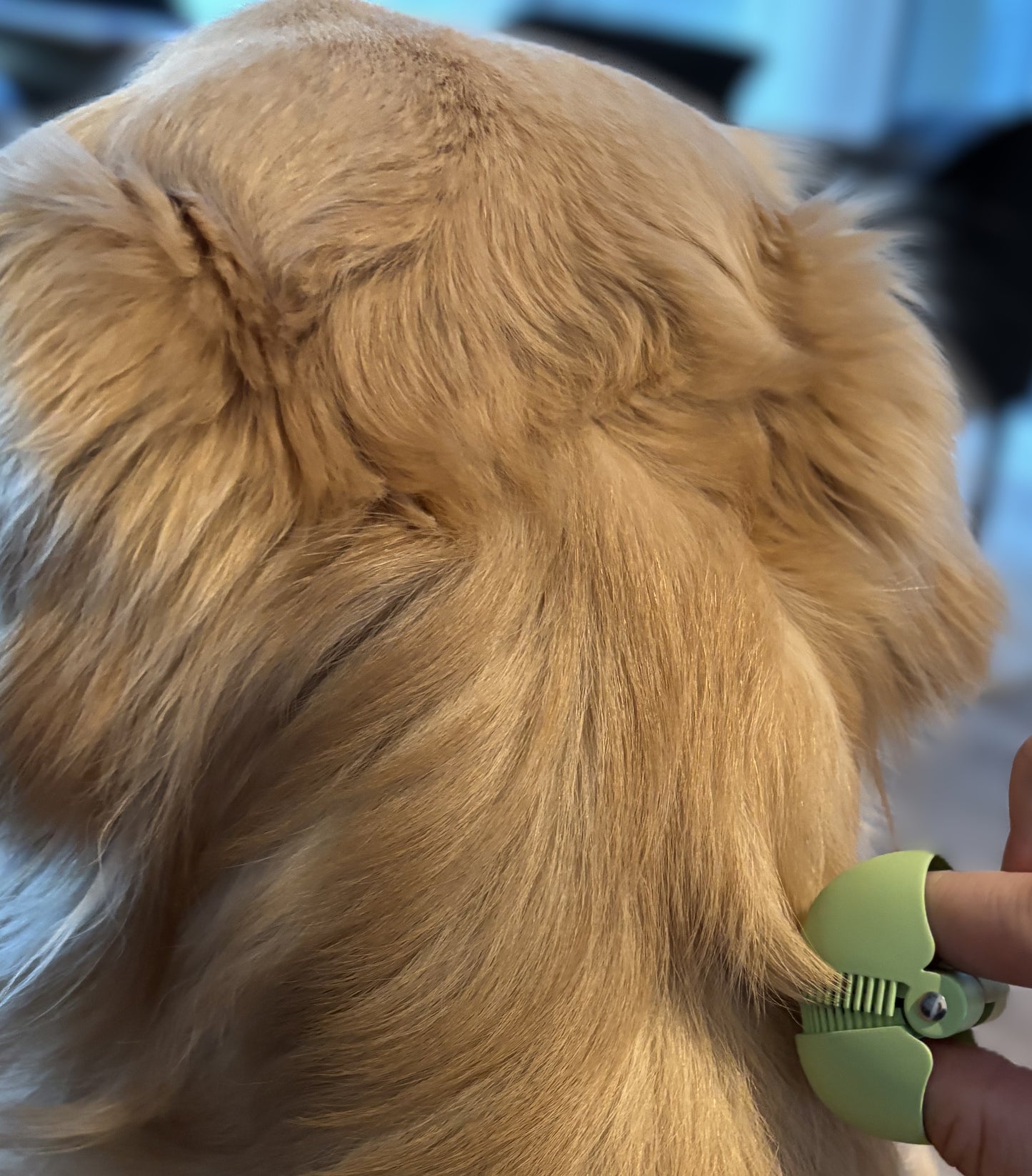 Ticky - DER ZECKENFRESSER: die 3-in-1 Lösung gegen Zecken